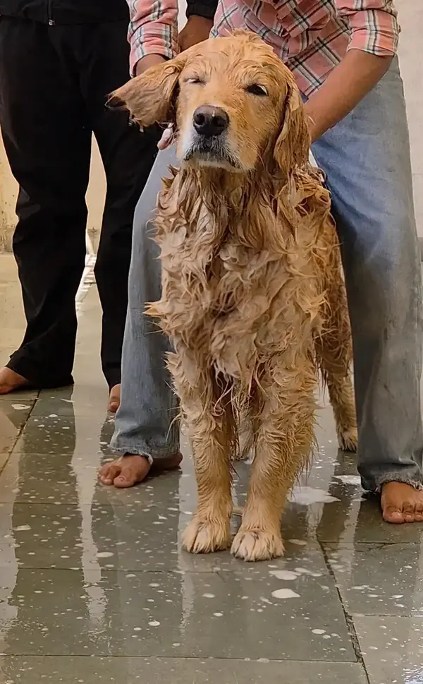Oliver during gentle bath at home